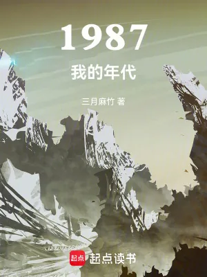 《1987我的年代》小说封面