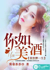 《你如美酒，我饮醉一生》小说封面