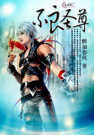 《不良圣尊》小说封面