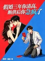 《假婚三年你清高，断供后你急疯了》小说封面