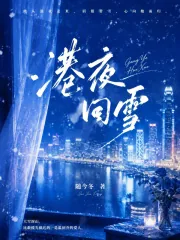 《港夜回雪》小说封面