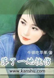 《落了一地忧伤》小说封面