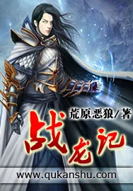 《战龙记》小说封面