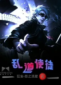 《乱道使徒》小说封面