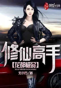 《花都极品修仙高手》小说封面