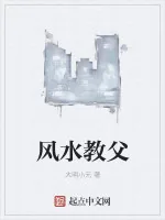 《风水教父》小说封面