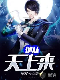 《他从天上来》小说封面
