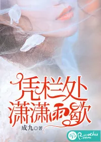 《凭栏处潇潇雨歇》小说封面