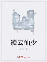 《凌云仙少》小说封面