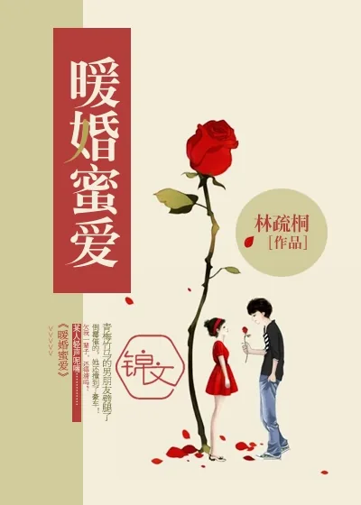 《暖婚蜜爱》小说封面