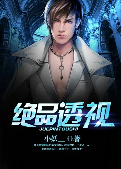 《透视高手》小说封面