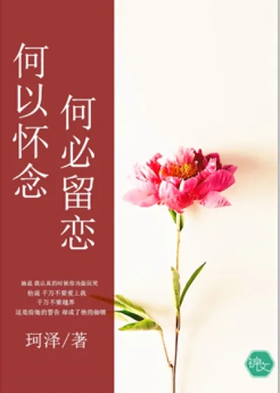 《何以怀念,何必留恋》小说封面