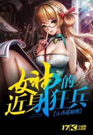 《女神的近身狂兵》小说封面