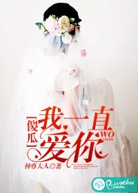 《傻瓜,我一直爱你》小说封面