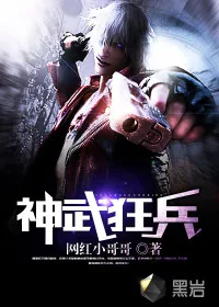 《神武狂兵》小说封面