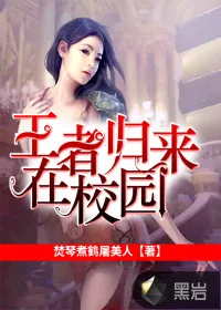 《王者归来在校园》小说封面