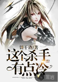《这个杀手有点冷》小说封面