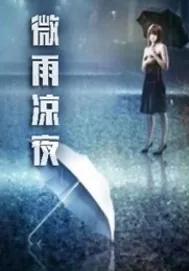 《微雨凉夜》小说封面