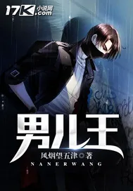 《男儿王》小说封面