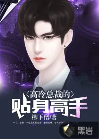 《高冷总裁的贴身高手》小说封面