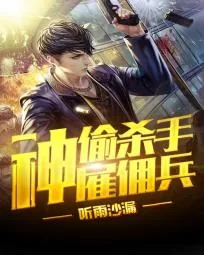 《神偷杀手雇佣兵》小说封面