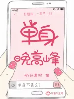 《单身晚高峰》小说封面
