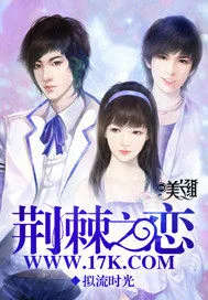 《荆棘之恋》小说封面