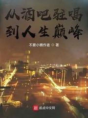 《从酒吧驻唱到人生巅峰》小说封面