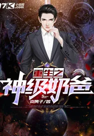 《重生之神级奶爸》小说封面