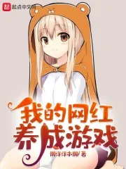 《我的网红养成游戏》小说封面