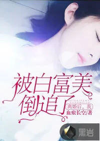《离婚后，我被白富美倒追了》小说封面