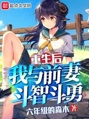 《重生后，我与前妻斗智斗勇》小说封面