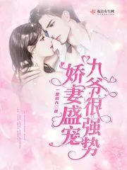 《娇妻盛宠,九爷很强势》小说封面