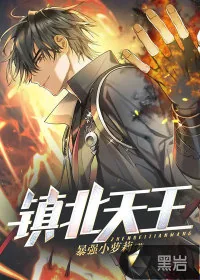 《镇北天王》小说封面