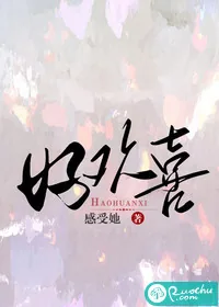 《好欢喜》小说封面