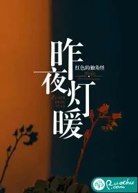 《昨夜灯暖》小说封面