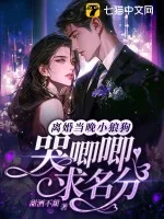 《离婚当晚，小狼狗哭唧唧求名分》小说封面