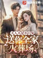 《夫人不是小白兔，送你全家火葬场》小说封面