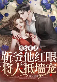 《离婚重逢，靳爷他红眼将人抵墙宠》小说封面