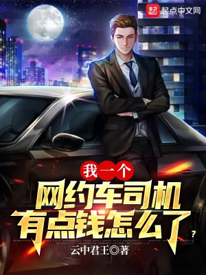 《我一个网约车司机有点钱怎么了？》小说封面