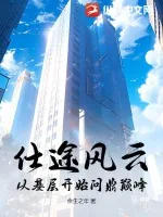 《仕途风云：从基层开始问鼎巅峰》小说封面