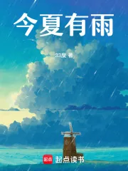 《今夏有雨》小说封面