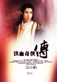 《铁血奇侠传》小说封面
