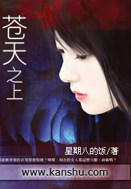 《苍天之上》小说封面