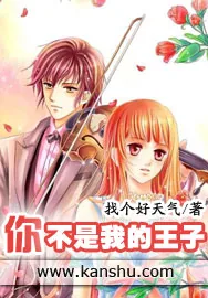 《你不是我的王子》小说封面