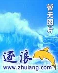 《都市侠情》小说封面