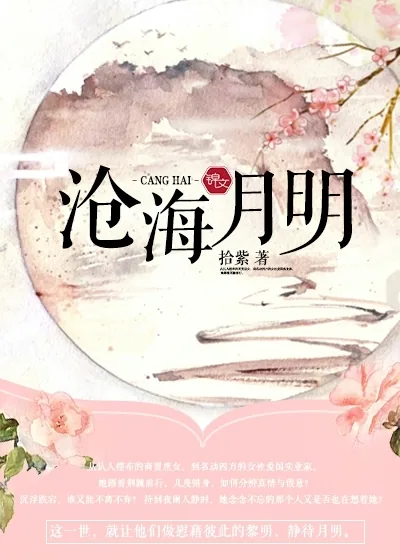 《沧海月明》小说封面