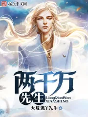 《两千万先生》小说封面