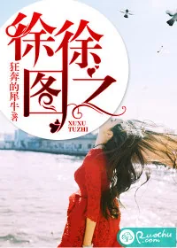 《徐徐图之》小说封面