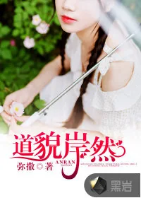 《道貌岸然》小说封面